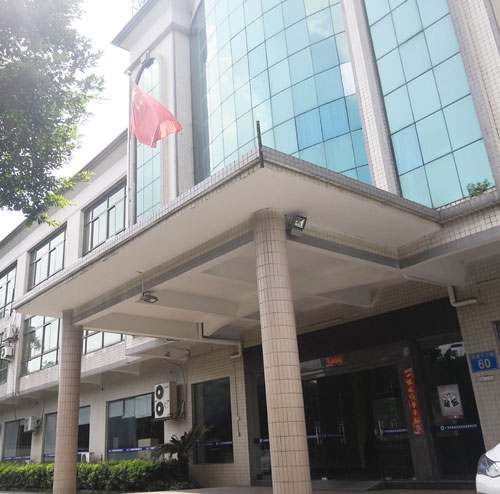 广州内射APP黄瓜视频成人版公司